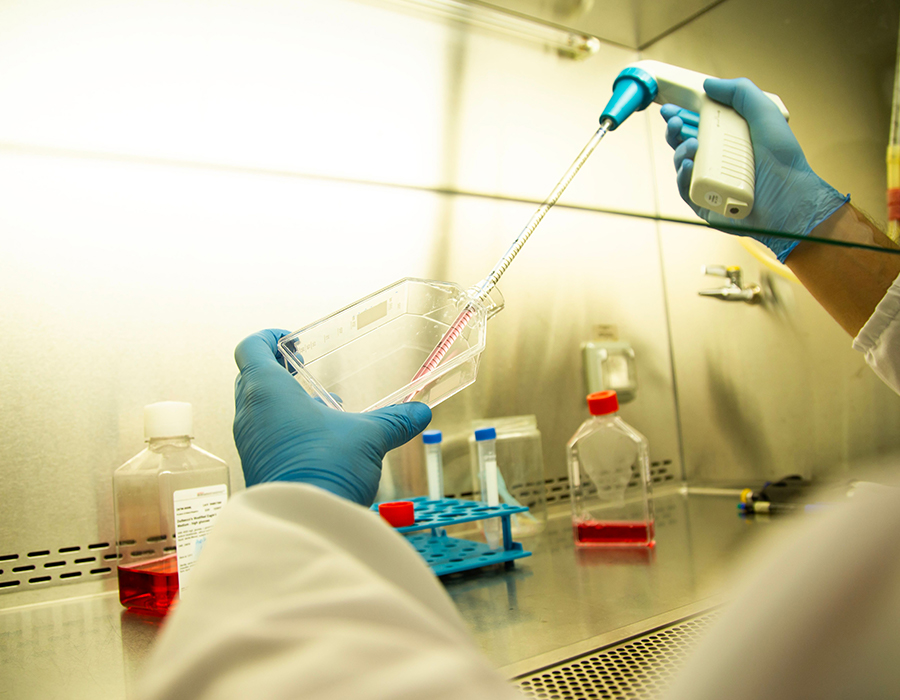 Biotechnologie und Pharmazie